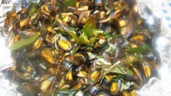 Accompagner les moules de frites , c'est inconturnable. !!