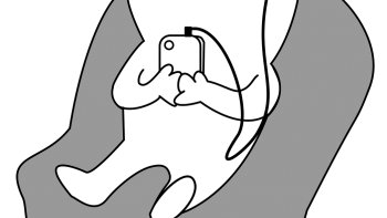 Voici des mots et des Phrases chers Amis ...
Mais qu'ont ils ou qu'ont elles en commun ?
 Lisez bien et cherchez un peu ...
Je vous donnerai la réponse à la fin, bien-entendu !