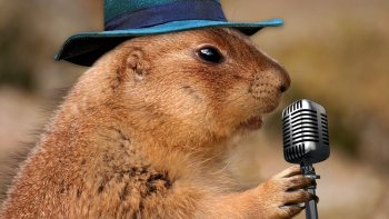 Ils sont tous venus....avec leurs  instruments......pour rivaliser, avec les musiciens  du  site .....IMAGES Pixabay, Musique:DEUS EX Silicum..de  STéphane...
Improvisation  d'Oderay