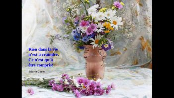 quelques phrases à méditer sur la vie....apprécions la vie...et bonne journée à tous et toutes