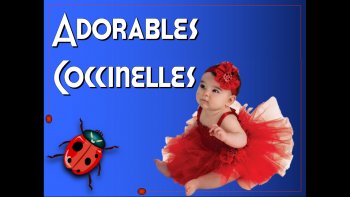 ces petites coccinelles si utiles dans les jardins m'ont été envoyé par Victoria que je remercie ici pour ce partage.
