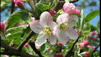 on me connait, on m'apprecie, mais je ne suis pas celui que vous croyez...
quelque part dans le monde ...loin de france