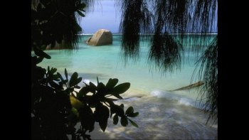  gardons le beau pour les générations futures...