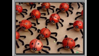 si vous aimez les oignons cela devrait vous plaire!!! c'est le festival des oignons qui a lieu chaque année en Suisses .