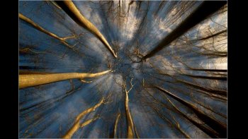 Faites une belle promenade dans la nature, et oubliez VOS soucis....
