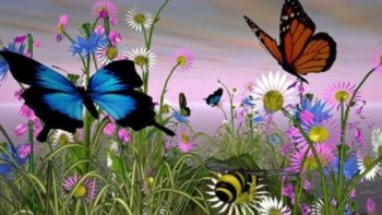 Il a fait chaud cet été, les plantes, les animaux, les hommes ont souffert alors cette petite pluie légère comme une pluie divine a réveillé mes neurones pour quelques rimes inégales .Que le temps se fasse plus doux pour vous tous .