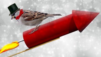 Profitez de chaque journée qui passe, car la vie est comme le brouillard, quand nous nous en rendons compte, c'est déjà passé !