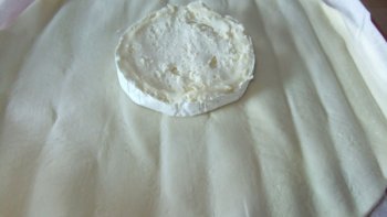 Recette au Camembert facile à réaliser ! ----- Et, ensuite découvrez la Poule qui joue de L' Aria Lyrique sur un clavier de piano - Jokgu des Flockstars joue " O MI-JUKIN MEDIA VERI " de PUCCINI. !  Bonne journée !