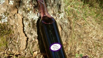 Voici une belle recette concoctée par chef Minou, à déguster avec modération !