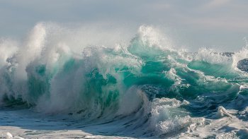 LES  LANDES ET L'OCÉAN