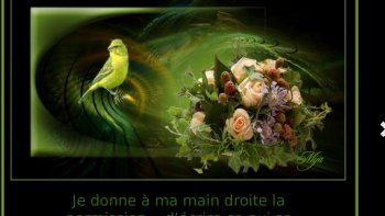 Retournons à l'école avec Toto.....pour apprendre ou réviser ses réparties.....