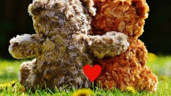 En partage avec NiNI   une petite histoire qui se termine bien !!!!