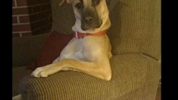 A chacun sa pause........