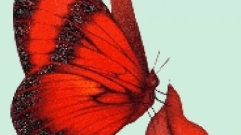 Qui se souvient de son premier baiser.......d'amour,ou de tendresse......