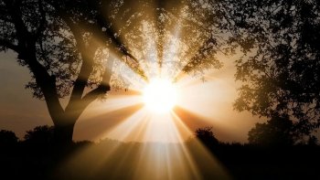 Musique:JOËL HANNIER :  CONCERTINO EN LAM -1-
Texte :'ODERAY
Images du Net