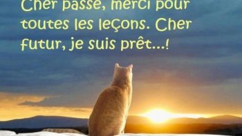  un partage inspirant...Quand l'esprit réagit' le cœur harmonise...