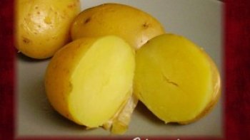 On ne peut faire plus rapide.......!