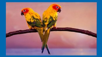 Prières exaucées...