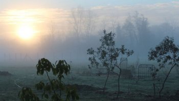 Le,,vent de novembre, dans sa corne de brume,
Annonce des beaux jours,la saison  posthume