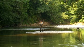 Voici un joli poème que nous partage notre ami PHILO.B