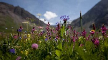 UN MOMENT DE VRAIE VIE