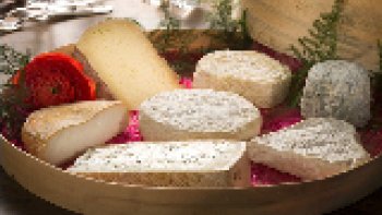 Les Chasseurs de Palombe racontaient des histoires autour des tables en plein vent sur lesquelles les fermiers mangeaient du fromage sec et buvaient le Vin résiné de montagnes.