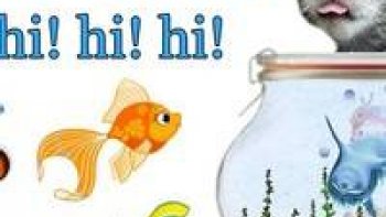 Dialogue  de petits poissons,
Une pêche" aux petites histoires,  contées par  des poissons........