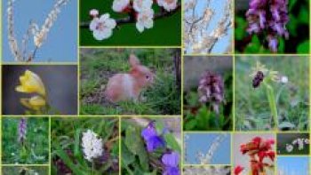 parfois, en famille ,entre amis il y a des désaccords, des incompréhensions, des heurts qui laissent des traces, mais lorsque l'affection et l'amitié sont là, le printemps revient et les sourires aussi ...j'ai écrit ce petit texte, car  il m'arrive de parler trop "vite"...