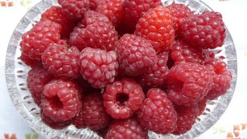 Chef monique vous présente la recette de tarte AUX FRAMBOISES MAISON !