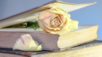 Avant et maintenant.....la fin d'une époque....changement de mentalité, de valeurs....