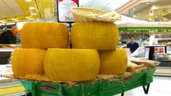 Les Food Trucks vont vous donner envie de tout lâcher ce que vous êtes en train de faire pour partir en quête de nourriture.