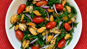 Au 16ème siècle, les salicornes etaient connues sous le nom de Glasswort, Ses cendres riches en l'alcali potasse, etaient utilisées pour la fabrication des verres ( glass). Elle se consomme en condiment, cuite ou crue ou en salade.