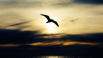 Notre ordissinaute Oderay est inspirée et nous livre un nouveau texte.