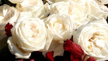 mONIQUE NOUS PARTAGE CE BEAU TEXTE SUR LES SOUVENIRS DE NOS VACANCES