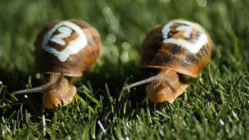 Avec Jacques Prévert, retrouvons notre coeur d'enfant.