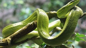 UN BEAU TEXTE DE NOTRE AMIE MONIQUE  SUR L'HYPOCRISIE...