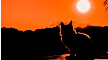 Un été  pourri!cette improvisation,  pour tromper mon ennui.......mais  il semble que le soleil hésite à sortir de sa cachette.....