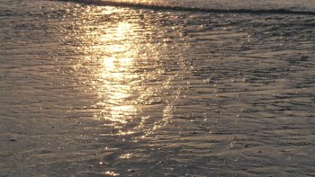 introspection culinaire