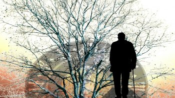 Que c'est beau de croiser des personnes très âgées qui se
tiennent par la main, ou qui, très discrètement s' offrent un
tout p'tit baiser, avec timidité, comme si c'était l'premier.

C'est avec ces gens là que j'aime tant, que l'on part en
promenade. Vous venez avec nous ?