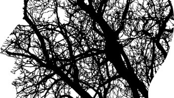 C'est pour rire! ne vous fâchez pas messieurs!