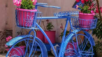 AH! LES CADEAUX ÇA SE MÉRITENT, ET  POUR LES OBTENIR,CE PETIT GARÇON N'HÉSITE  PAS, À EMPLOYER LA RUSE!