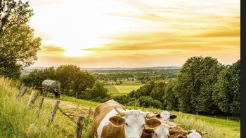 Romantisme . Quand le courant passe!!entre deux êtres!allez savoir!