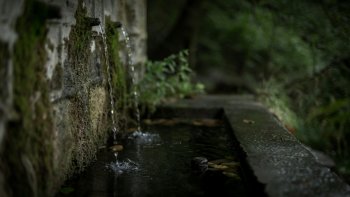 Un poème de Matthieu Dornier mis en voix par Éléonore et Étienne pour "Lecturbulences à Nans sous Sainte Anne 2026..."