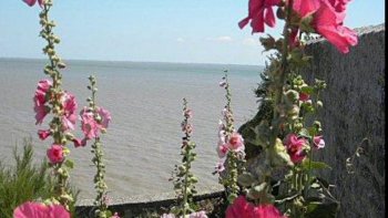 bonne visite dans cette capitale des roses trémières......dans ce touristique et charmant village
