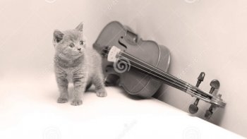 Sur une musique de Joël Hannier, La valse  d'Oderay