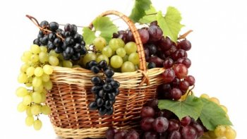 D'où vient le Raisin ?