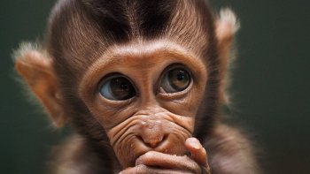 Le mois de Mars m'a permis de commenter ( à ma manière ) plus de prénoms,
n'oubliez pas que c'est pour rire et ( tenter ) de vous faire sourire ...