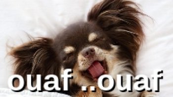 Le rire est la chanson de l’ âme …

Le sourire est son refrain

