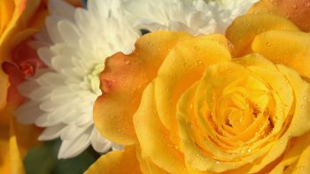 Quand la beauté des mots côtoient la beauté du temps. Très beau poème de notre ordissinaute Oderay.